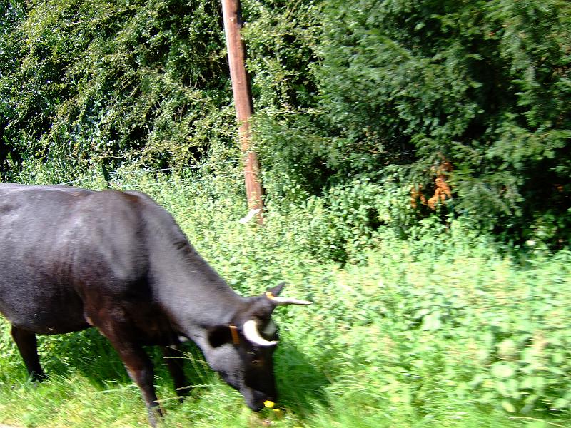 DSCF4635.JPG
