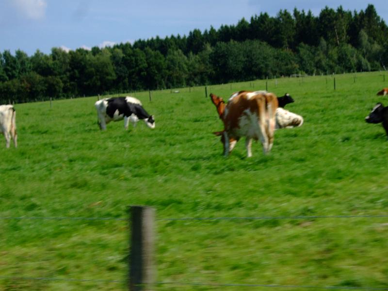 DSCF4704.JPG