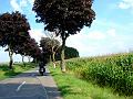 DSCF4705