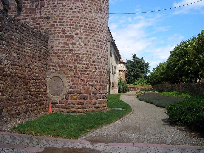 CIMG0036.JPG